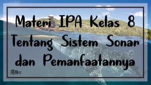 Materi IPA SMP Kelas 8 : Sistem Sonar dan Pemanfaatannya