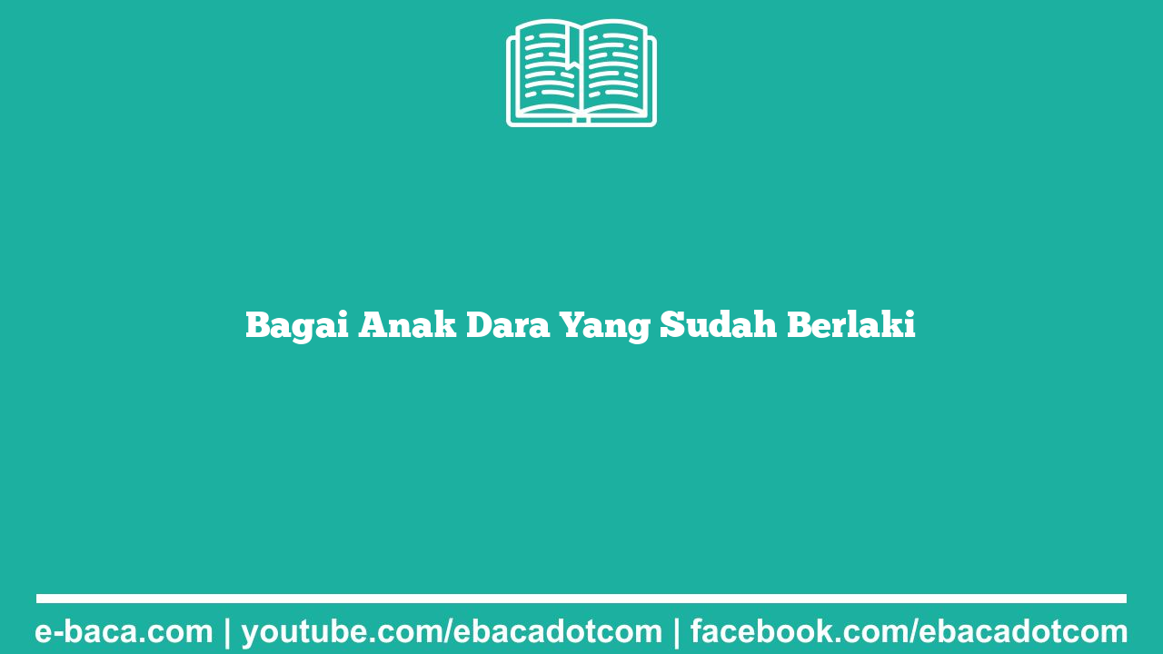 Bagai Anak Dara Yang Sudah Berlaki