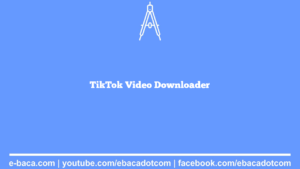 TikTok Video Downloader